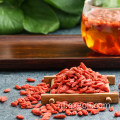 Biologische superfood goji bessen in de fabriek